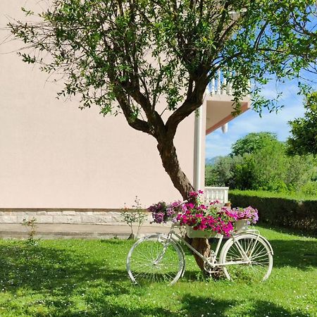 Apartman Dolcerosa Kotor Eksteriør billede