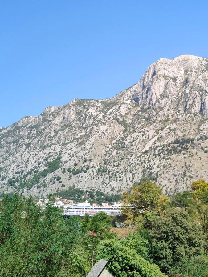 Apartman Dolcerosa Kotor Eksteriør billede